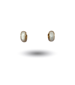 Brincos Special Snail