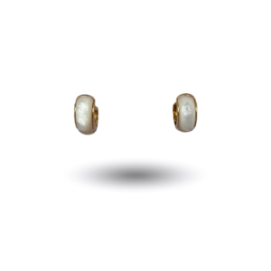 Brincos Special Snail