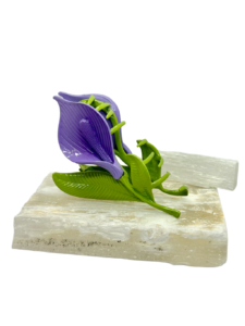 Presilha Tulip Bloom