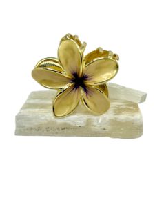 Presilha Indian Flower